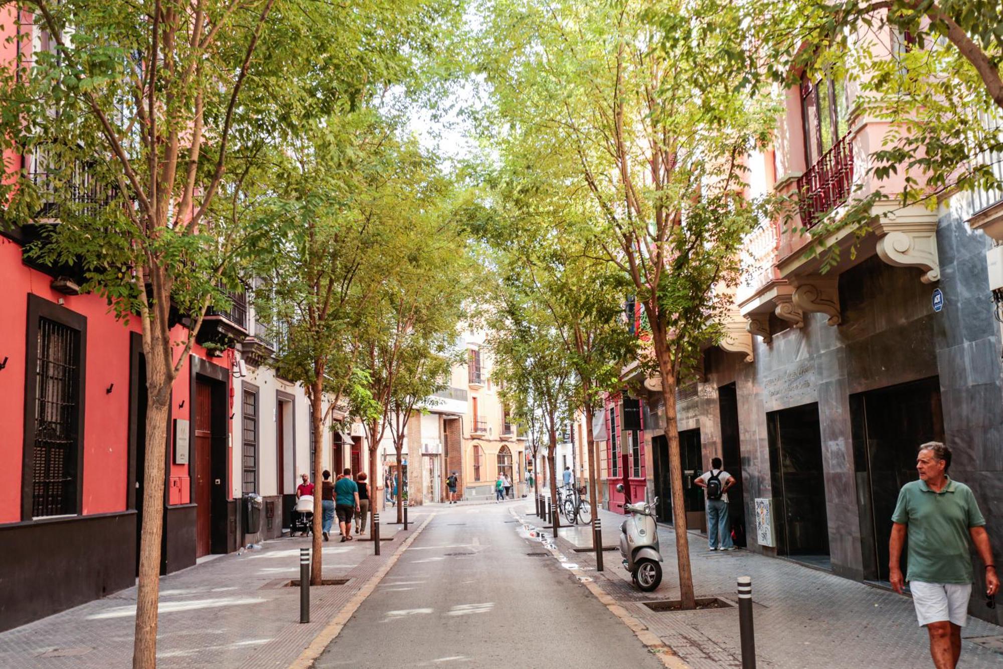 Monkeys Apartments Cervantes Севилья Экстерьер фото
